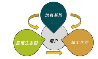 富硒食品連鎖新零售 互聯(lián)網分享經濟思維驅動產業(yè)變革