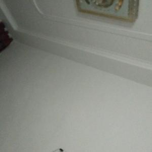 傳友裝潢公司 打造理想家居的專家之選